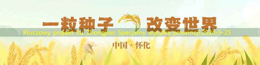 Kluczowy projekt Xu Zhongjian Specjalny wysyłka prowincji